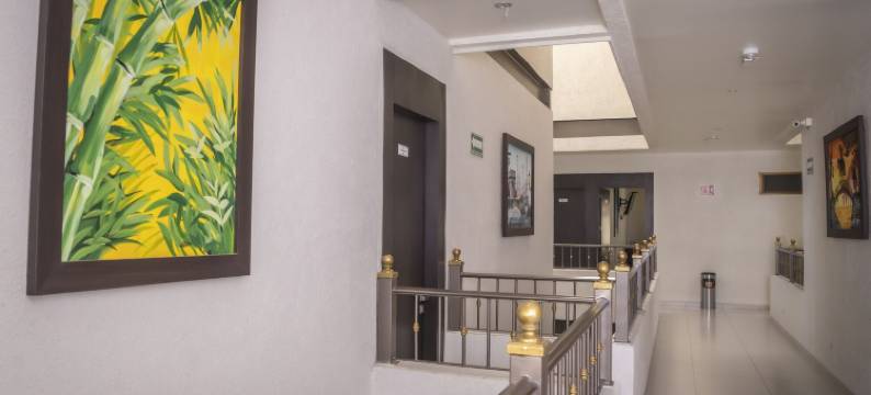 桑霍酒店(Hotel SanJo)图片