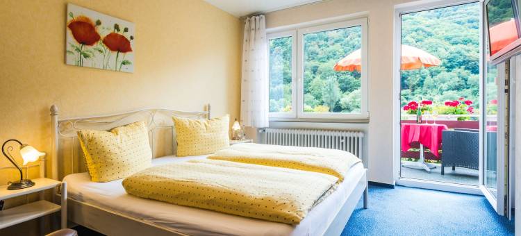 苏木鲁文默赛罗曼蒂克酒店(Moselromantik-Hotel Zum Löwen)图片