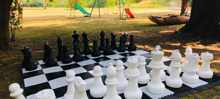 德拉图尔庄园酒店及餐厅(Hôtel Restaurant du Château de la Tour)图片