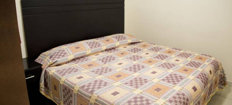 那不勒斯酒店(Hotel Nápoles)图片