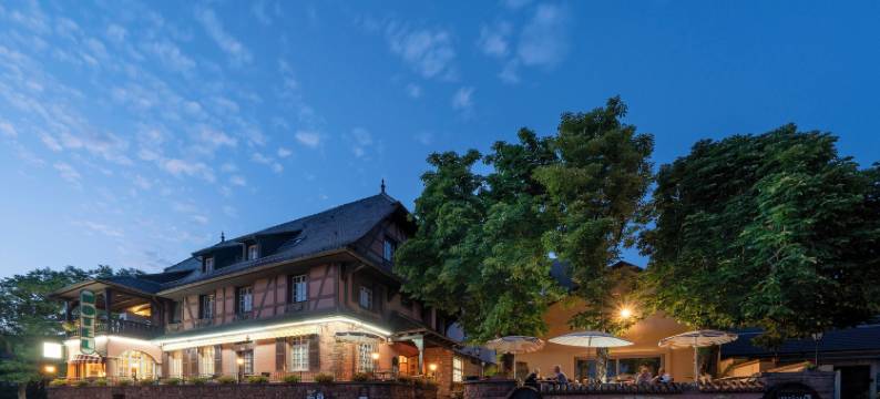 穆希酒店(Hotel Munsch Restaurant & Wellness, Colmar Nord - Haut-Koenigsbourg)图片