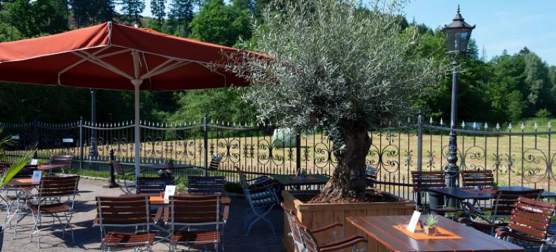 兰哈斯瓦克运动酒店(Landhaus Wacker)图片