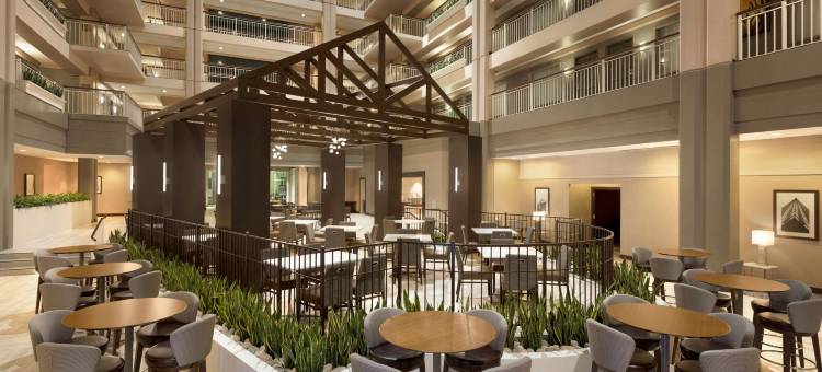 朗伯德希尔顿安泊酒店(Embassy Suites by Hilton Chicago Lombard Oak Brook)图片