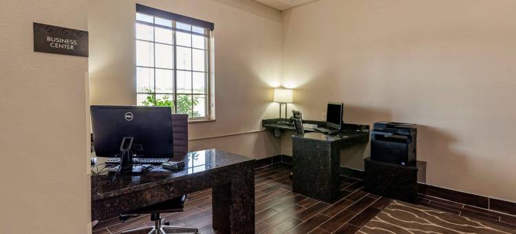 舒适套房酒店-德拉文日内瓦湖区(Comfort Suites Delavan - Lake Geneva Area)图片