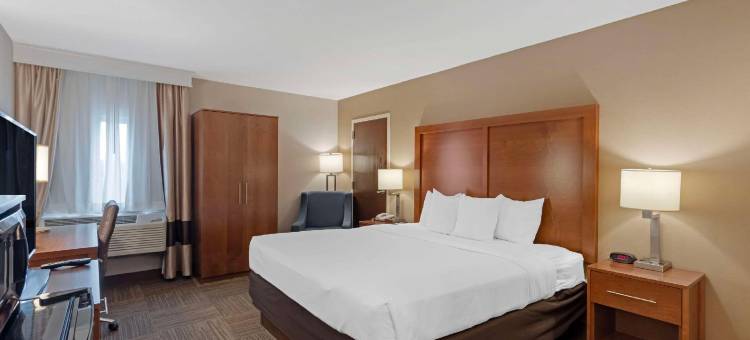 舒适酒店(Comfort Inn)图片