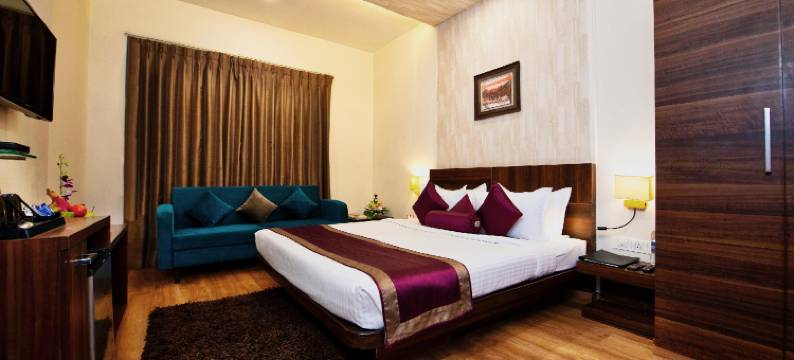 萨普纳克拉克斯旅馆(Sapna Clarks Inn Lucknow)图片