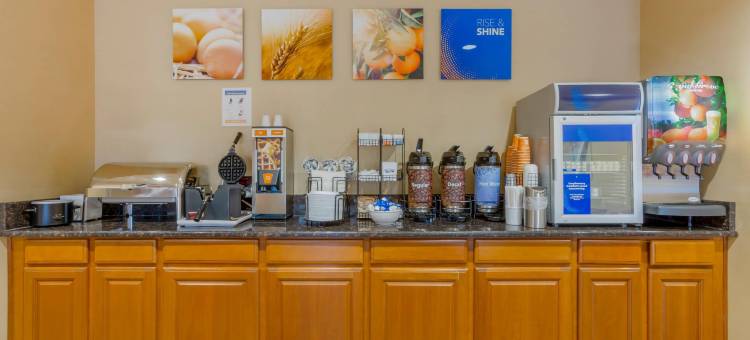 索科罗舒适套房酒店(Comfort Inn & Suites)图片