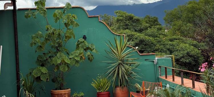 Ginger banana 青年旅舍(Ginger Banana Hostel)图片