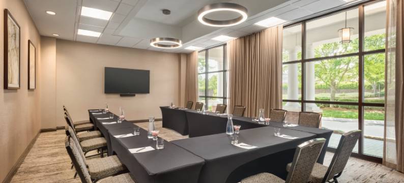 希尔顿亚特兰大阿尔普哈雷塔使馆套房酒店(Embassy Suites by Hilton Atlanta Alpharetta)图片