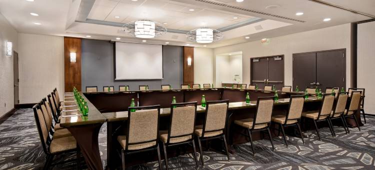 锡拉库兹希尔顿安泊酒店(Embassy Suites by Hilton Syracuse)图片