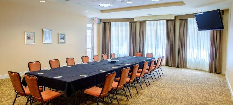 罗切斯特市区希尔顿花园酒店(Hilton Garden Inn Rochester Downtown)图片