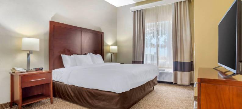 蒙哥马利东蒙蒂塞洛舒适套房酒店(Comfort Suites Montgomery East Monticello Dr)图片