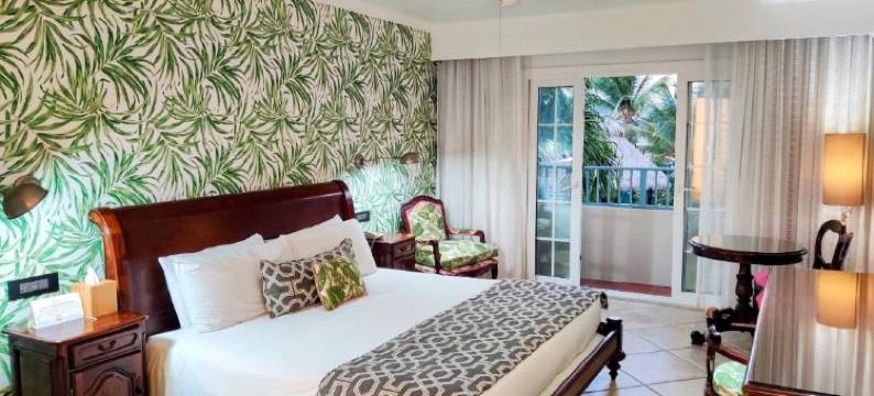 可可棕榈(Coco Palm)图片