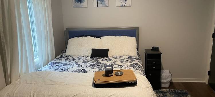 SEASONAL MONTHLY RENTAL: New modern winter home on lake Osakis.+ Sauk River.图片