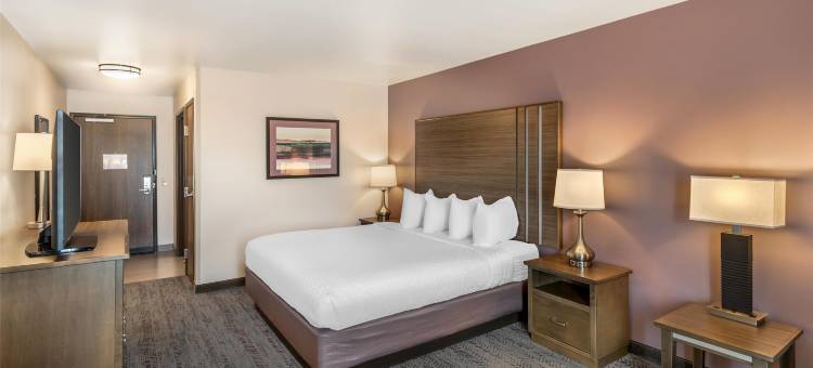 拉皮德城拉什穆尔贝斯特韦斯特优质酒店(Best Western Plus Rapid City Rushmore)图片