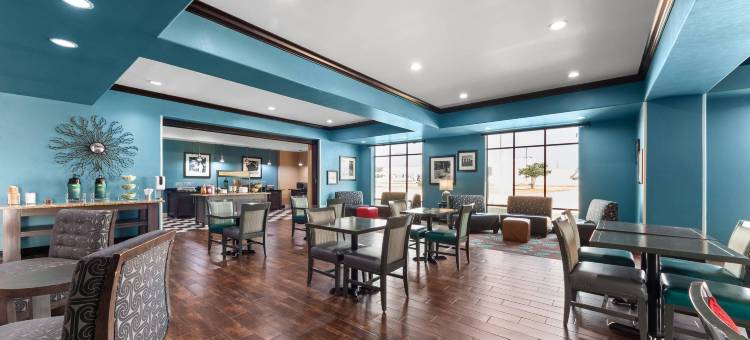 皮尔索尔的品质套房酒店(Quality Inn & Suites Pearsall)图片