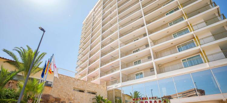 瑟维集团金塔酒店(Hotel Servigroup Torre Dorada)图片