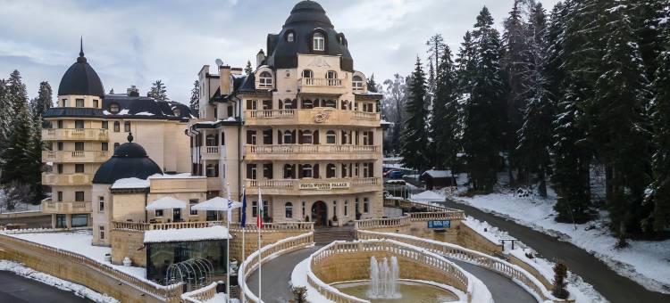 费斯塔冬宫酒店(Festa Winter Palace Hotel)图片