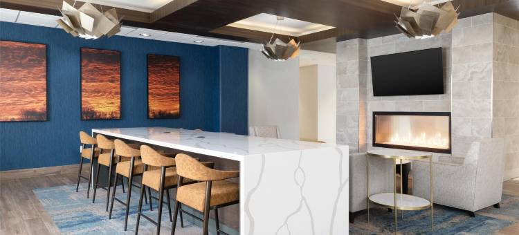 汉诺威阿伦德尔米尔斯BWI机场Homewood Suites by Hilton(Homewood Suites by Hilton Hanover Arundel Mills BWI Airport)图片