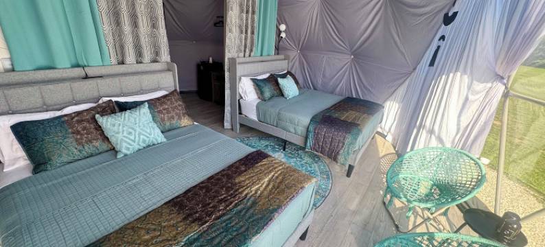 梦想家圆顶屋(DayDreamer Domes)图片