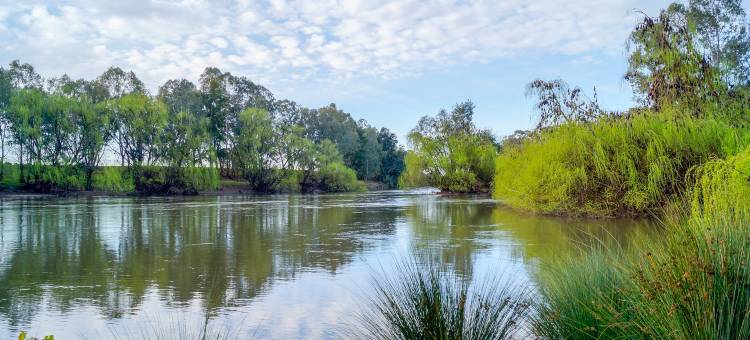 沃加沃加 BIG4 英吉尼亚假日度假园区(Big4 Ingenia Holidays Wagga Wagga)图片