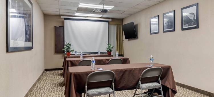 亚特兰大/斯麦纳舒适套房酒店(Comfort Inn & Suites Atlanta-Smyrna)图片