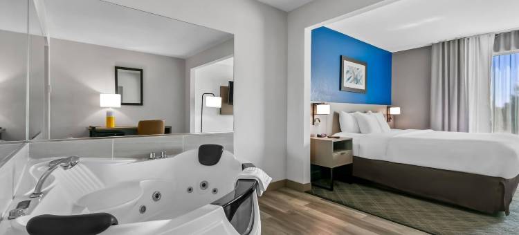 舒适套房酒店大布兰克/弗林特(Comfort Inn & Suites Grand Blanc-Flint)图片