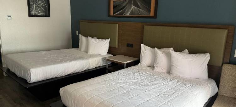 City Center Motel图片