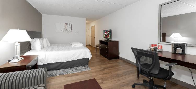 红屋顶PLUS+纽瓦克自由机场 - 卡特雷特(Red Roof Plus+ Newark Liberty Airport - Carteret)图片