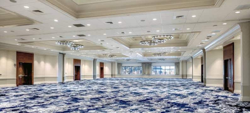 圣何塞希尔顿逸林酒店(DoubleTree by Hilton San Jose)图片