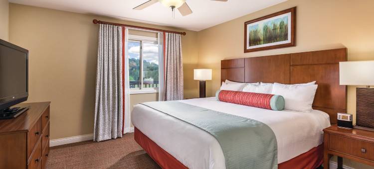 塔玛拉克温德姆度假会(Club Wyndham Tamarack)图片