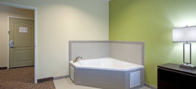 智选假日套房酒店克莱门森- 大学区(Holiday Inn Express & Suites CLEMSON - UNIV AREA by IHG)图片