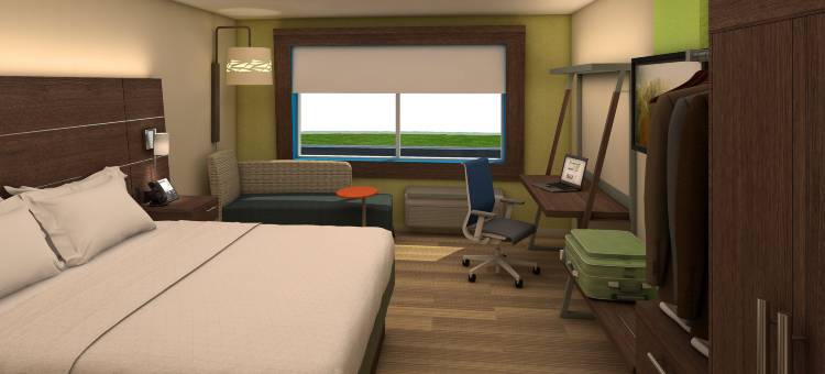 米利奇维尔洲际智选假日套房酒店(Holiday Inn Express & Suites MILLEDGEVILLE by IHG)图片