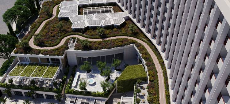 雅典康拉德酒店(Conrad Athens The Ilisian)图片