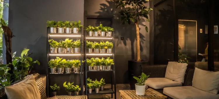 新山 Z 酒店(Z Hotel Johor Bahru)图片