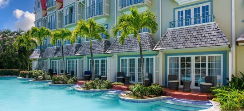 可可棕榈(Coco Palm)图片