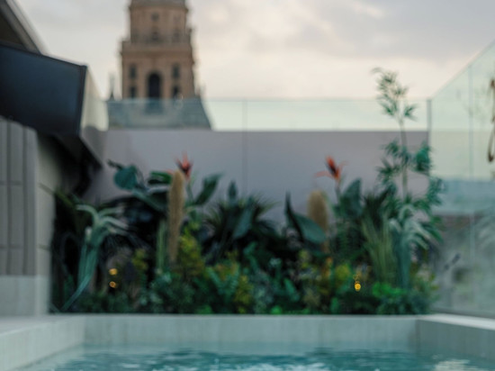 Los 36 by GRUPO CCOMMO