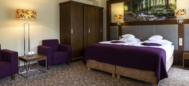 克雷尼察美居水疗度假酒店(Hotel Mercure Krynica Zdrój Resort&Spa)图片