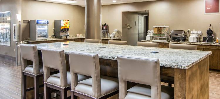 舒适套房酒店-弗雷德里克斯堡南(Comfort Suites Fredericksburg South)图片