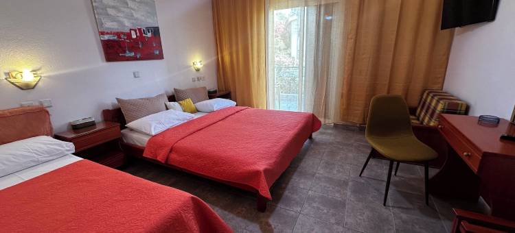 维克多埃莱尼酒店(Victor-Eleni Hotel)图片