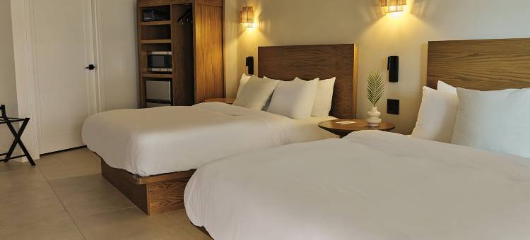 大西洋棕榈酒店(Ambros Daytona)图片