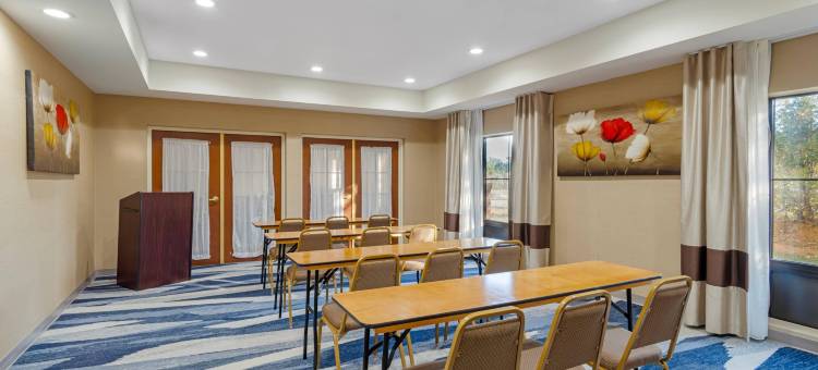 舒适酒店及套房斯帕坦堡北(Comfort Inn & Suites at I-85)图片