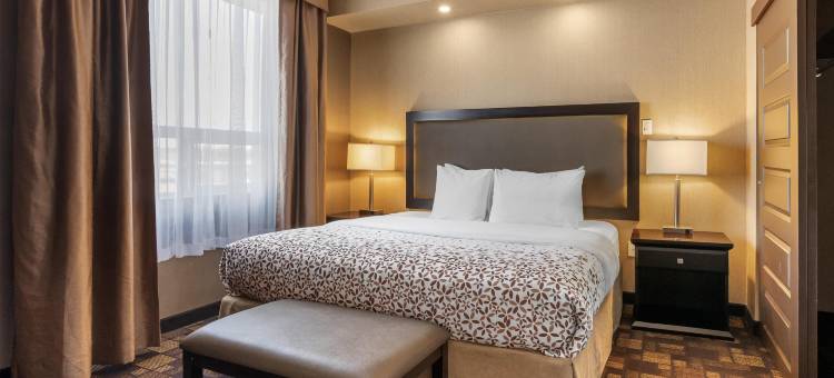 仙狐贝斯特韦斯特优质酒店(Best Western Plus Fox Creek)图片