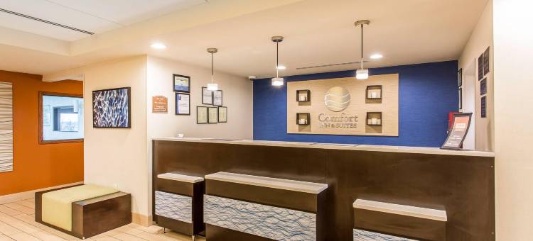 库克维尔舒适套房酒店(Comfort Inn & Suites Cookeville)图片