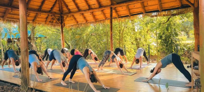 旅行者拉福图纳旅舍(Viajero la Fortuna Hostel)图片