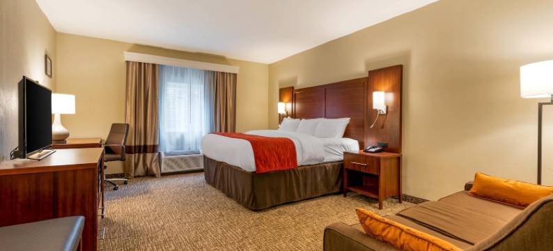 康福特酒店及套房密歇根城南部(Comfort Inn & Suites Michigan City South)图片