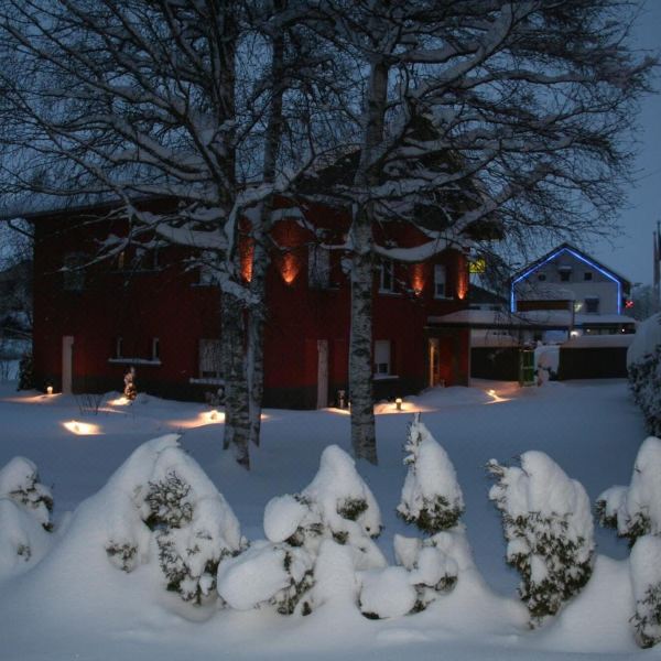 雪花餐厅酒店(Logis Hôtel & Restaurant les Perce-Neige)图片