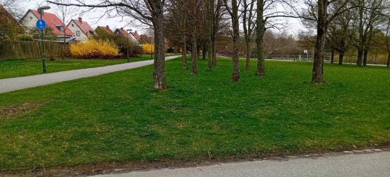 Cozy villa for your stay图片