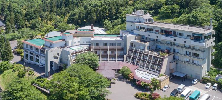 小柳饭店(Hotel Oyanagi)图片