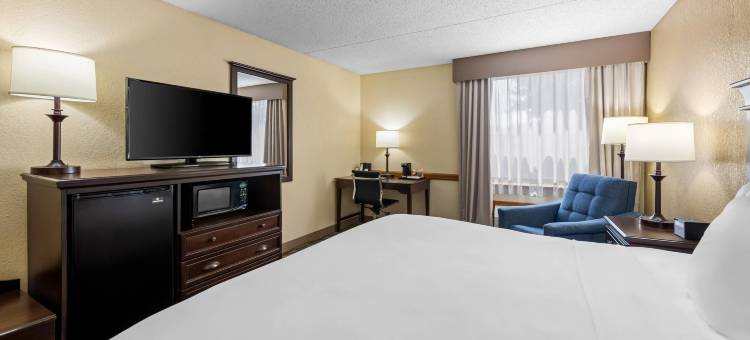 舒适酒店，位于千山(Comfort Inn at Thousand Hills)图片